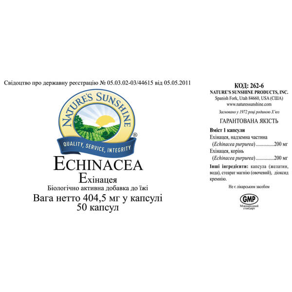 Эхинацея | Echinacea 3